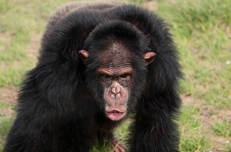 “装逼”的心理学及社会学分析