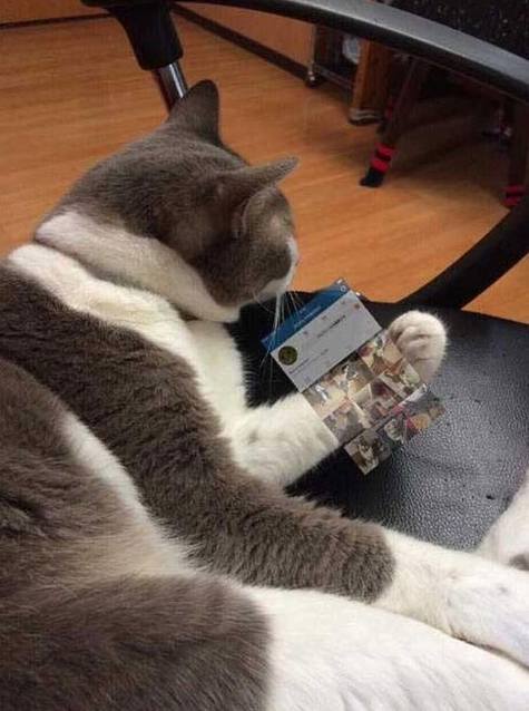 告诉你一个密码:手机1秒变透明的方法