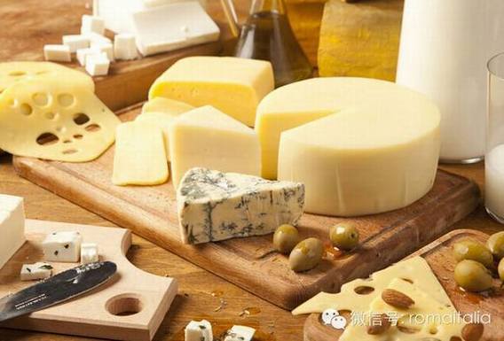 了解奶酪的知识 做个土生土长的华裔