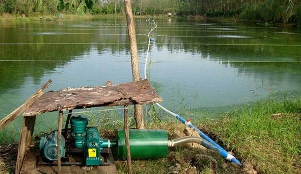 СϺôŻɹպĵ㣬СϺԽԽ_Ϻ