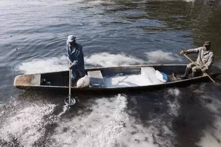 鱼塘防渗膜可以用多少年_养鱼