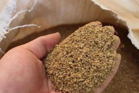 韭菜能不能每天喂鸡_养鸡