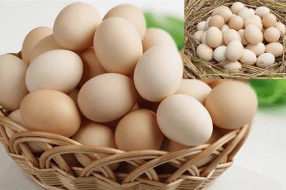 土鸡蛋的营养价值,土鸡蛋的搭配禁忌_养鸡