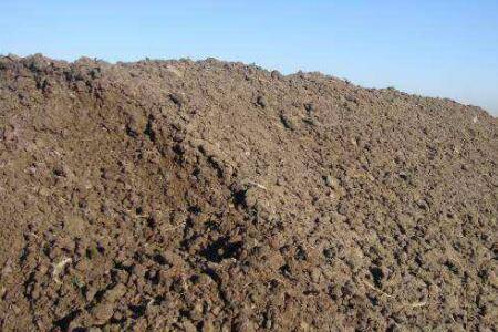 水泡鸡粪发酵几天?_养鸡