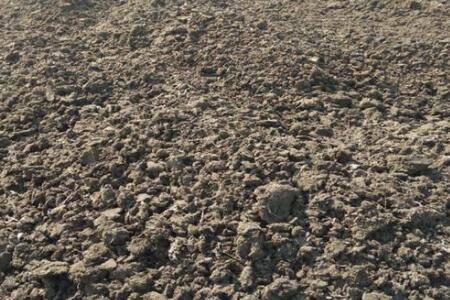 鸡粪有机肥适用于哪些农作物_养鸡