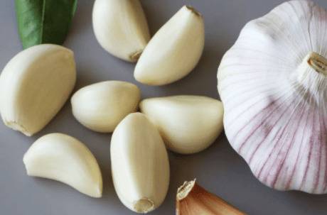 玉米喂鸭要泡吗?_养鸭