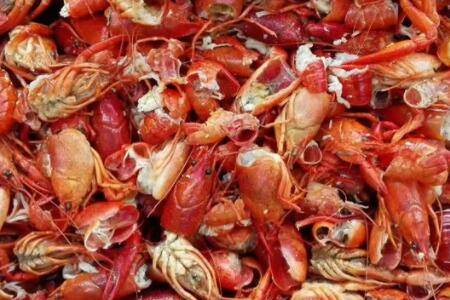 龙虾壳能不能做肥料?_养虾