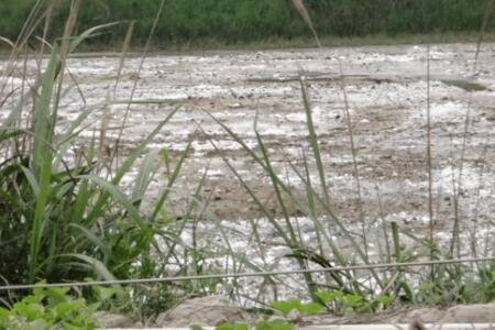 虾塘有虾能不能用石灰?_养虾