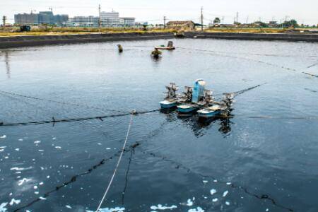 养虾氨氮含量不能超过多少_养虾