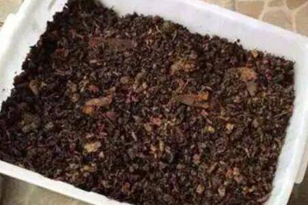 虾壳沤肥要多久_养虾