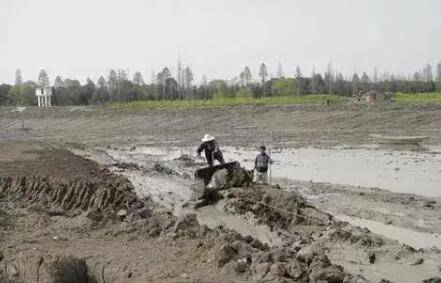 虾塘改底多久改一次_养虾