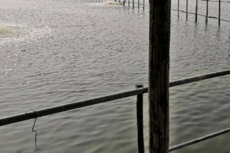 虾塘改底要注意什么问题_养虾