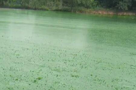 Ϻ������������ô��_��Ϻ