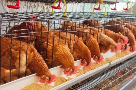 ����������ҩռ�ȶ��٣����Է�����Щ����_����