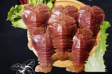 琵琶虾是什么虾_养虾