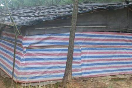 土鸡棚怎么搭,搭建鸡棚要注意什么_养鸡