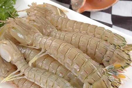 皮皮虾是否可以人工养殖_养虾