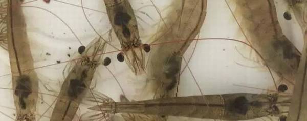 Ϻѿʲôԭ򣬼ش̼ǹؼ_Ϻ