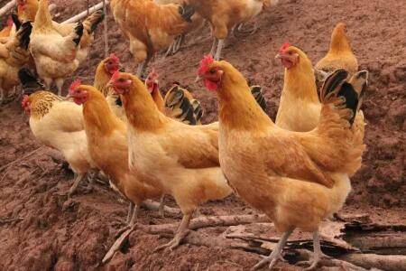 ��������̬��������������_����