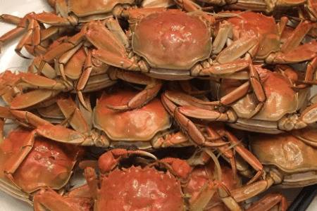 �з���ܲ������ɷ���_ũҩ����