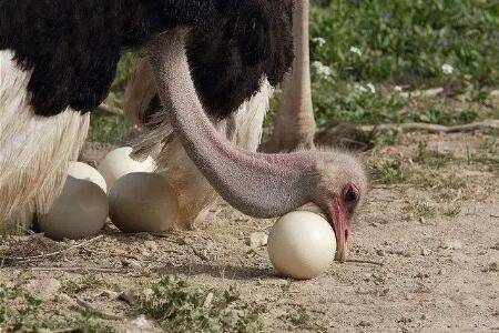 ����һ�������ö��_��ֳ�ʴ�