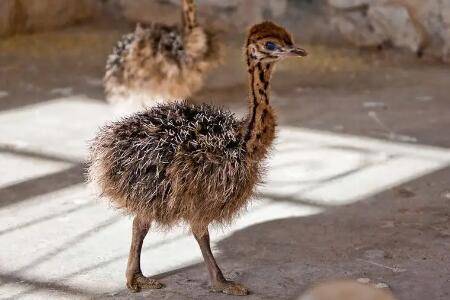 һ���µ�������ôι_��ֳ�ʴ�