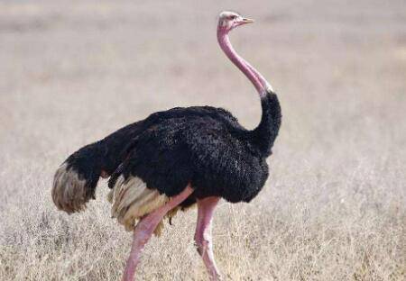 ��������Ҫ������Щ֤����_��ֳ�ʴ�