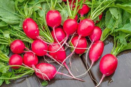 �ܲ���������Щ����ȫ�ܲ�Ʒ�ּ��_�߲���ֲ