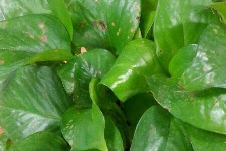 ��������������ô��_������ֲ