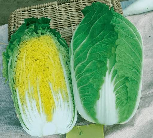 ��Щ�ײ�Ʒ�ֺã�ԥ��ӭ����ԥ���������ϰ�_�߲���ֲ