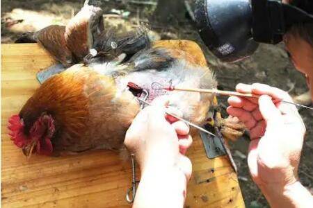 �˼�ʱ���ʲô���˼��Ǹ��غ��Ĺ���_����