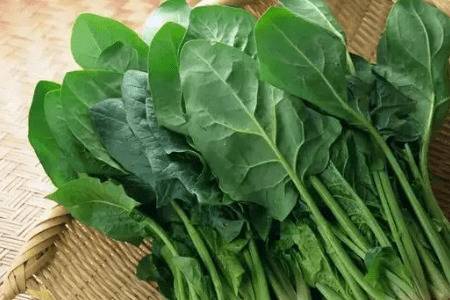 ����ʮһ���ܲ�����_�߲���ֲ