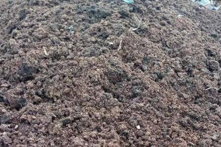 猪粪怎么制成有机肥_农药肥料