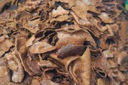 香油渣子怎么做肥料_农药肥料