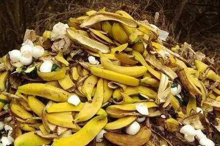 �㽶Ƥ���ʿ�������Щ��_ũҩ����