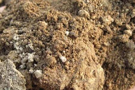 豆渣能不能做花肥_农药肥料