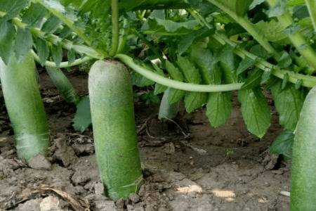 Ϋ���ܲ���ô��ֲ_�߲���ֲ