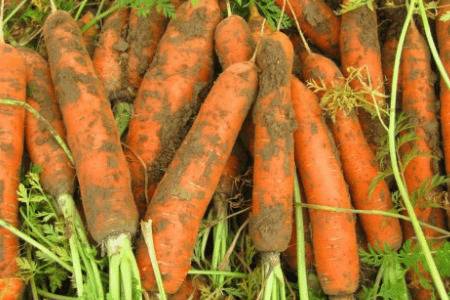 ͷ��Ϊʲô���ܲ�_�߲���ֲ