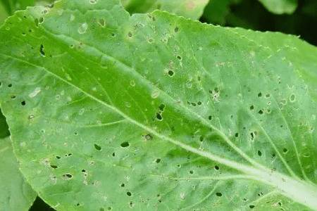 �ײ������������ô����_�߲���ֲ