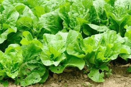 �ļ���ײ���ô��ֲ_�߲���ֲ