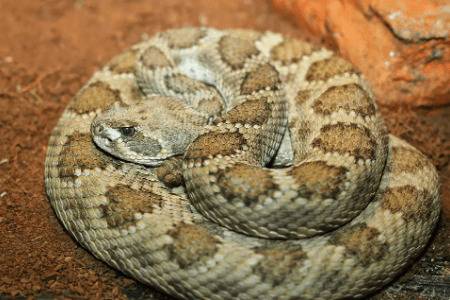 �ߵĶ��߷�ʽ_����