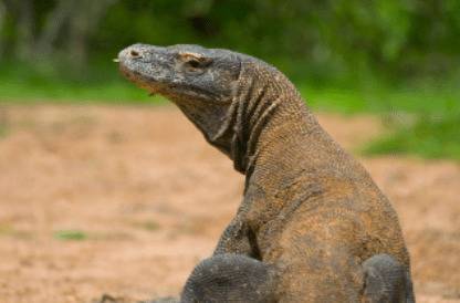 �ߺ���ʲô����_����