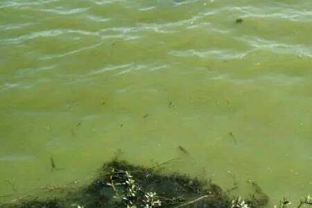 з��ˮŨ��ɫʲôԭ��з��ˮŨ��ɫ��ô��_��з