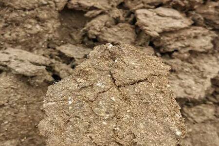 羊粪能不能直接做肥料_农药肥料