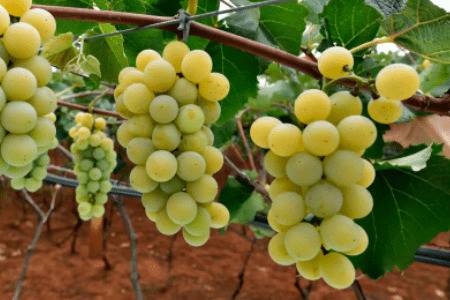 ˮ������ʩ�ʷ�����ע������_�Ϲ���ֲ