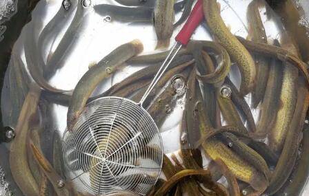 �ڼ���������ô��ι_��ֳ�ʴ�