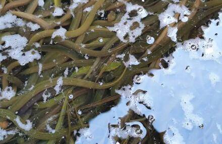 �����ܲ��ܾ�����ˮ_��ֳ�ʴ�