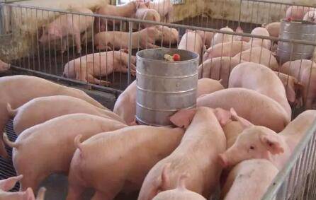 ����������ô���Ӭ_����