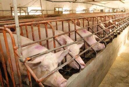 �����������ļ��㷽��_����