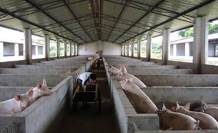 ��Ȧ���Ӳ�Ӭ����ô����_����